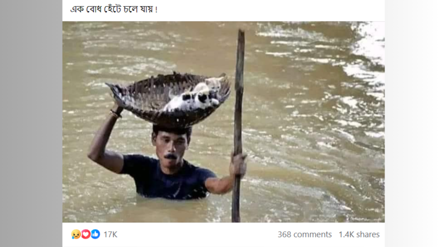 Fake image man with kittens