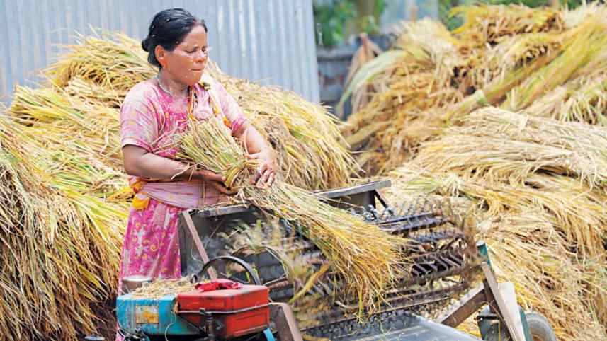 agricultural-sector.jpg