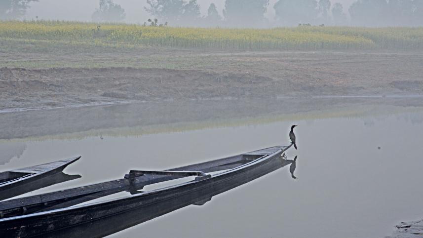 inspiration from Akhtaruzzaman Elias