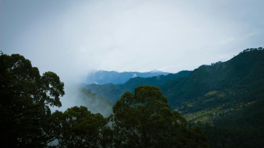 India    5 places in Asia to experience autumn like never before (No, really)