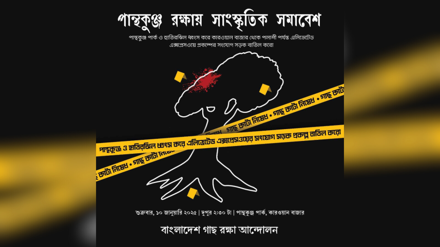 Cultural activists rally 