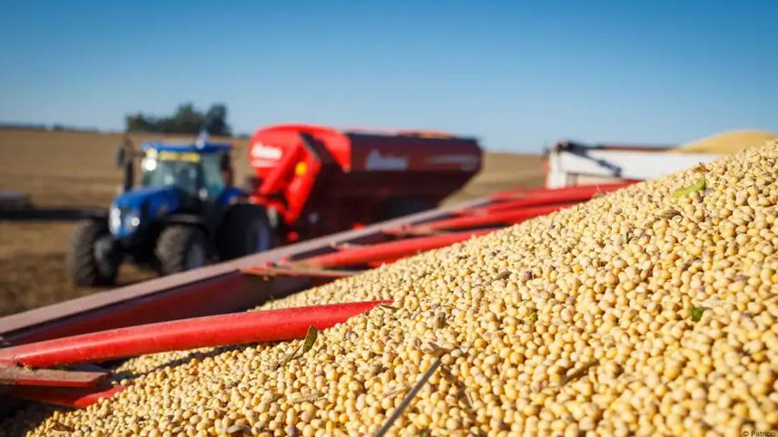 china_agri.jpg