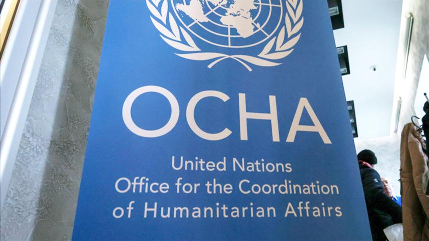ocha.jpg