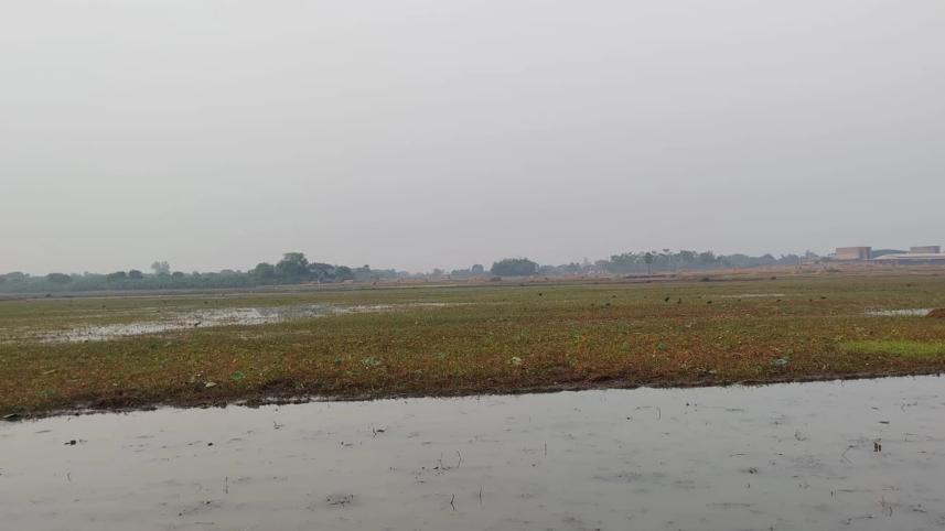 wetland-dependent-wildlife-sanctuaries.jpg