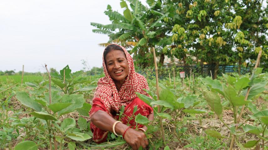 Saline soil, cyclones, health risks — Women farmers remain resilient