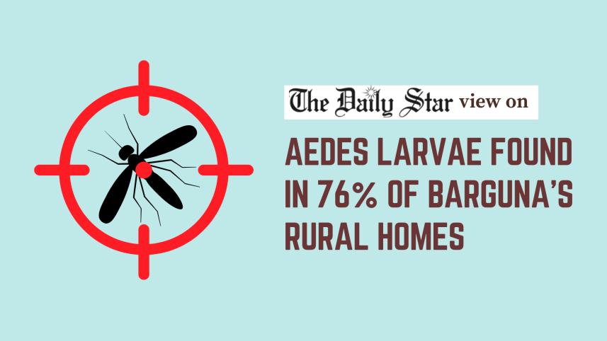 Aedes mosquito larvae detected in 76% of barguna’s rural homes
