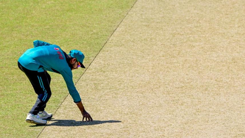 miraz_pitch.jpg