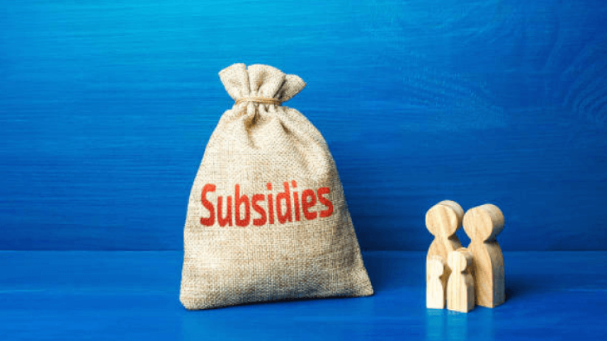 subsidy.png
