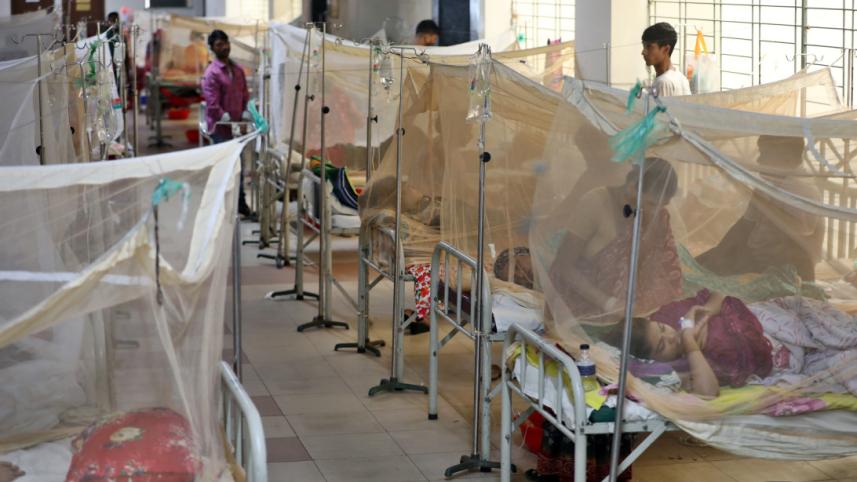 Dengue in hospital
