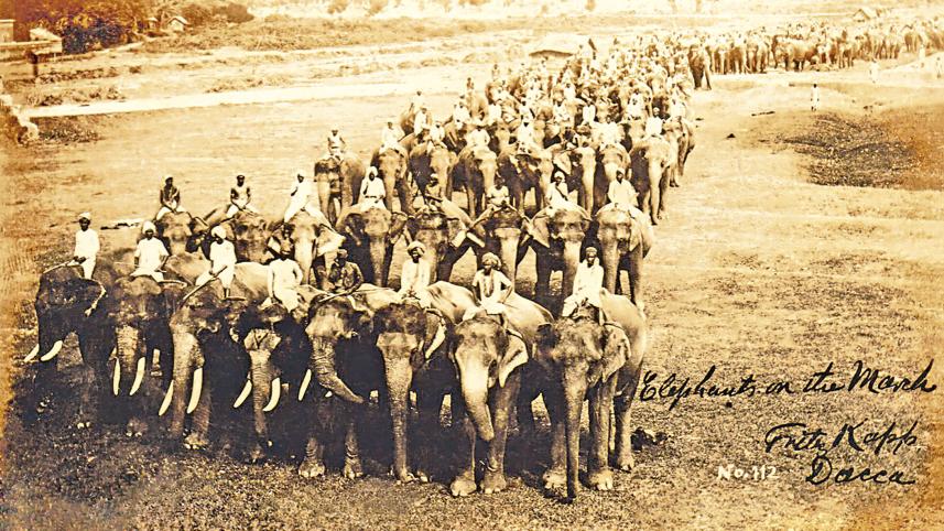 Pilkhana elephant depot history