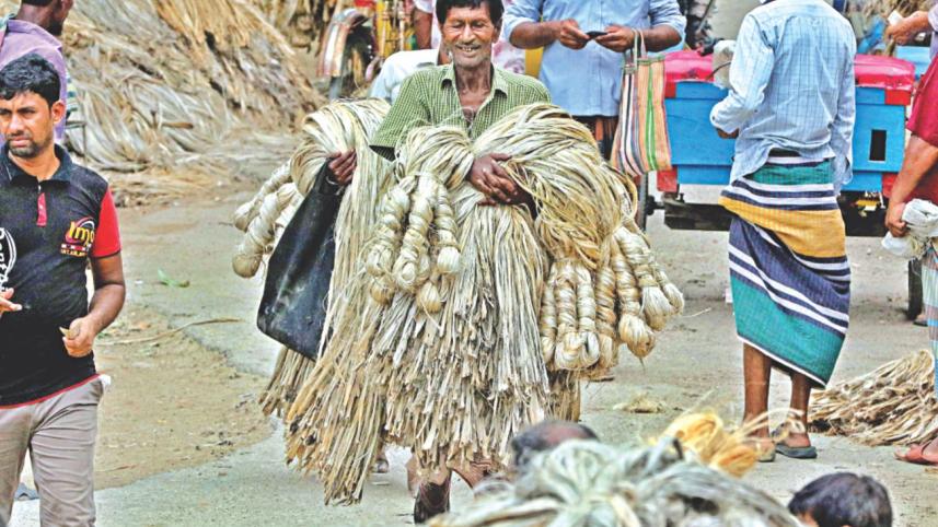 Jute delight for farmers