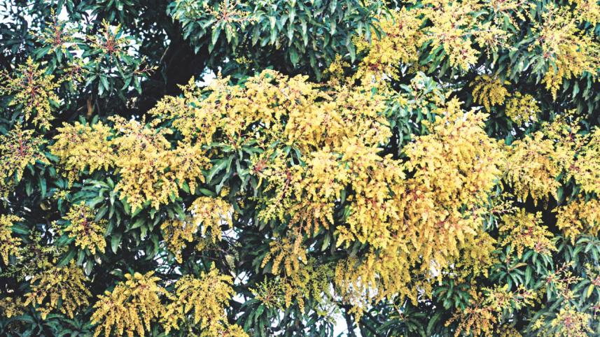 A RARE BUT WELCOMING SIGHT… 