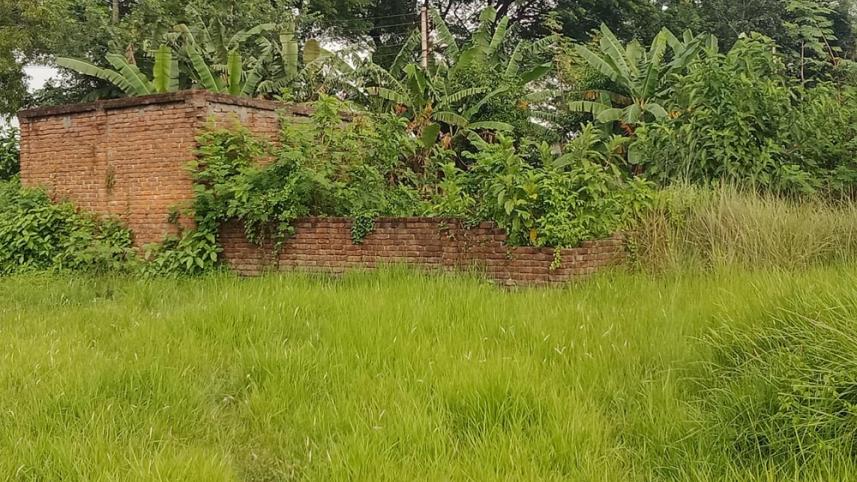 Pabna-Business special _0099.jpg