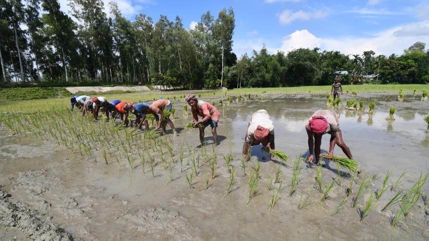 B4 bottom photo_8956.jpg