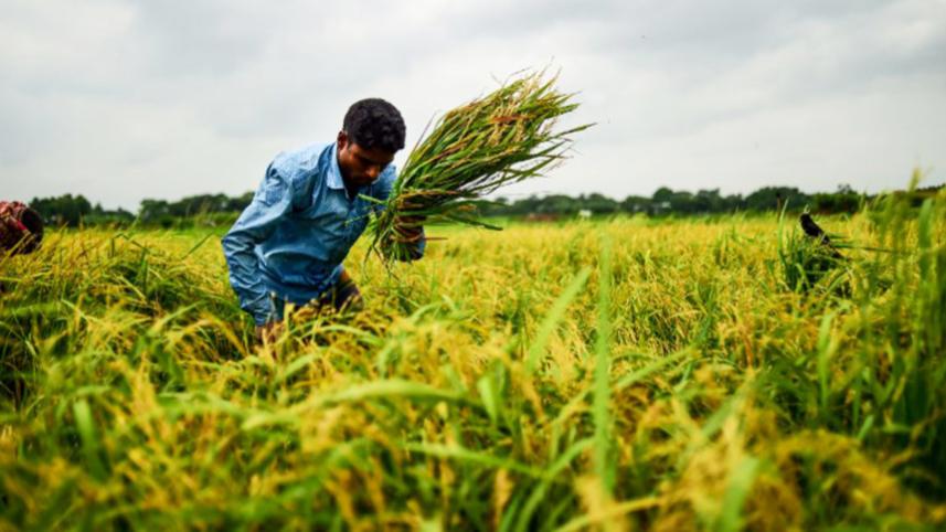 Planning minsiter.jpg