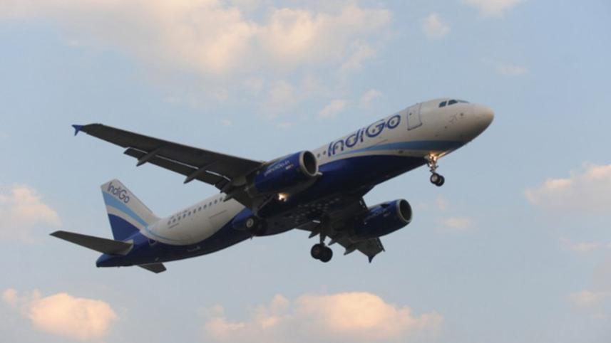 Indigo flights.jpg