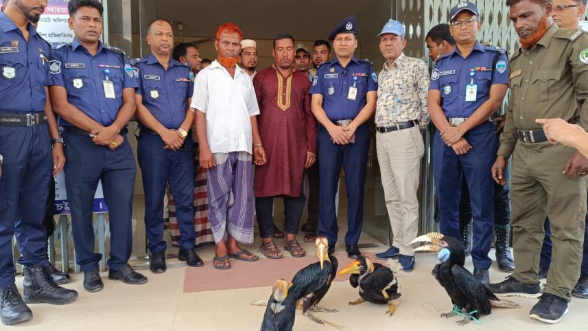 hornbills rescued.jpg