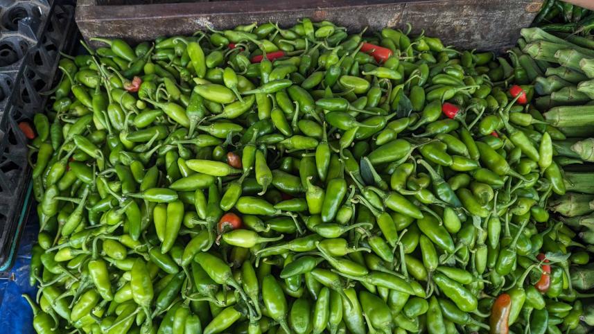 Resent SPCL Skyrocketing Prices in Bagerhat Green Chilli Hits Tk 600 per Kilogram_1b65.jpg