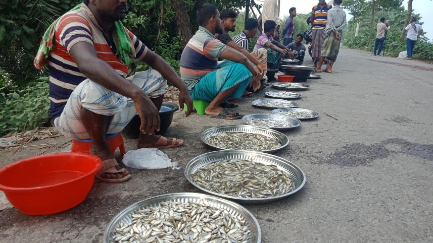 Chalan Beel e maacchh nai.jpg