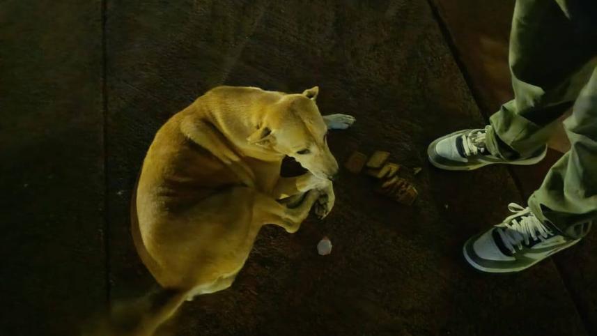 my dhaka -- kalu_1ec9.jpg