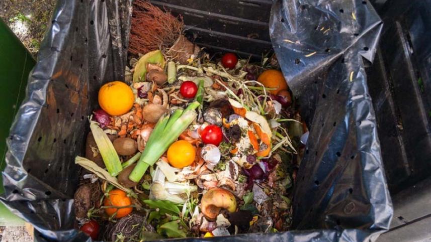 2L for 28 sep 2025.jpg