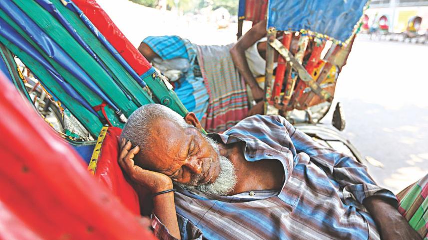 nap in the shade of a tree