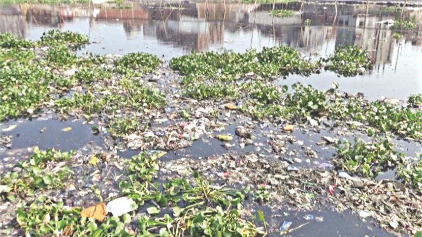 buriganga grabbing 3.jpg