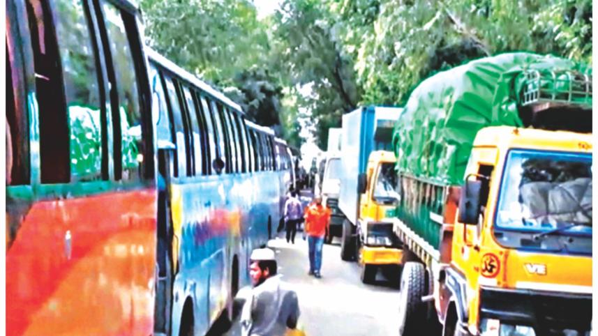 buses.jpg