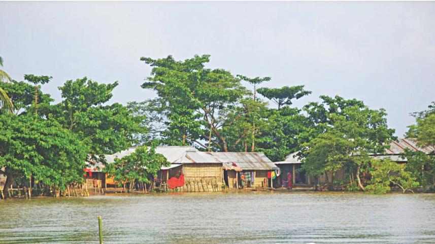 climate change 2.jpg