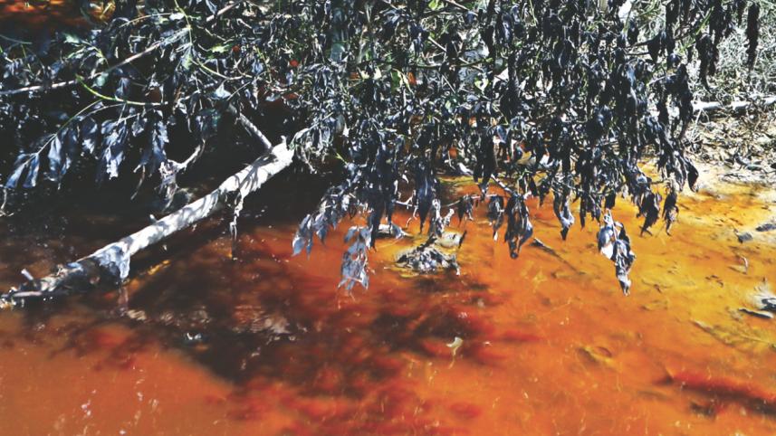 DAP Fertiliser Company Limited 3.jpg