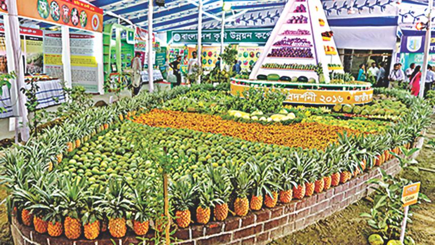 Fest of Fruits 10.jpg