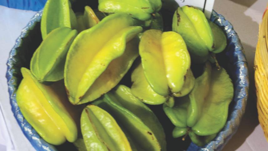 Fest of Fruits 7.jpg