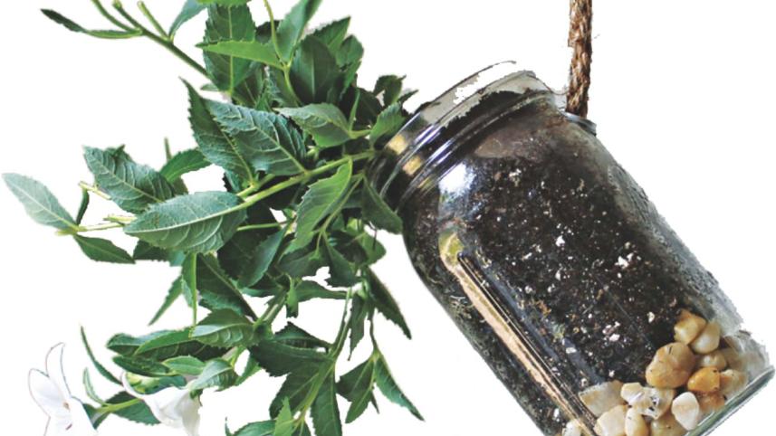 flower jar