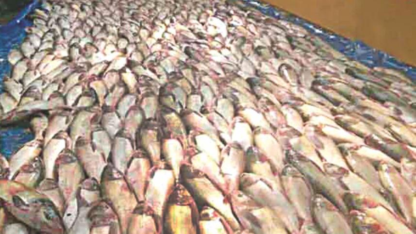 gala feast 2.jpg