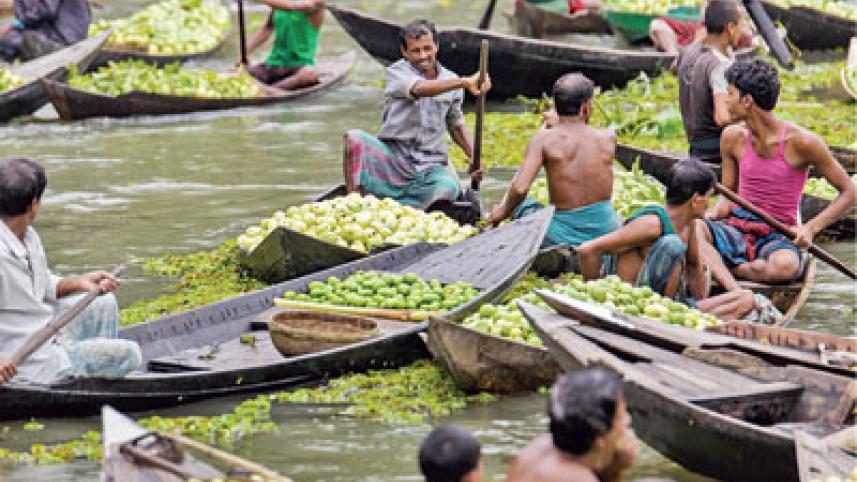 Guavas5.jpg