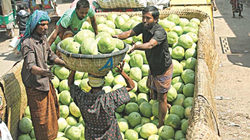 harvest wasted 02.jpg