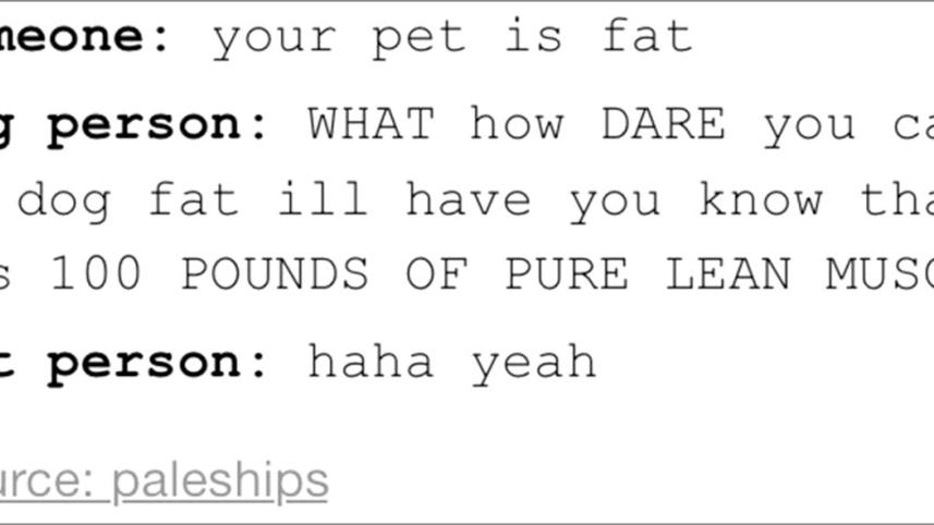 How pet preferences profile you