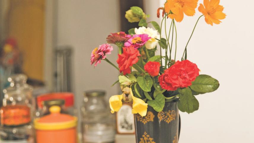 indoor garden