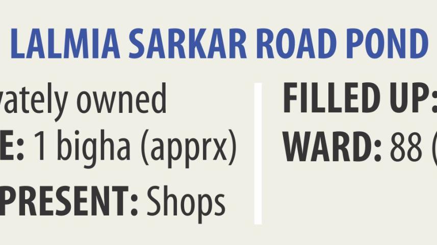 lalmia_sarkar_road_pond.jpg