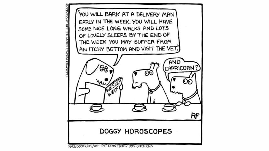 living_by_horoscope_for_a_day