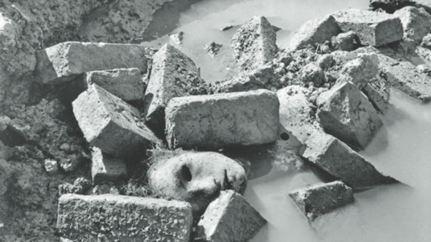 Martyred Intellectual Day 2016