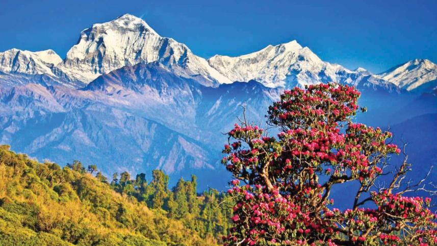 nepal.jpg