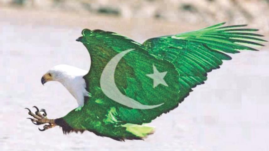 pak birds.jpg
