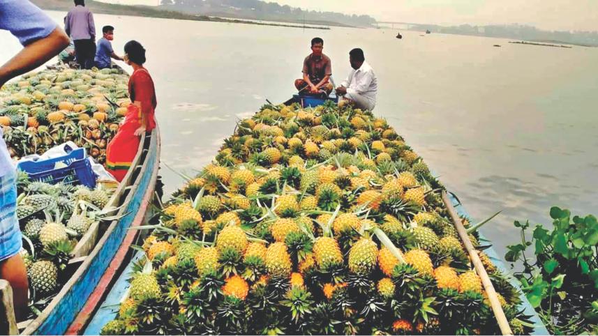 pineapples price dropped