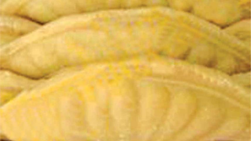 pitha6.jpg