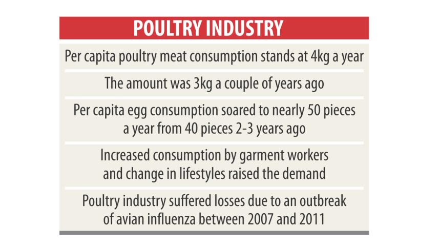 poultry industry 2.jpg