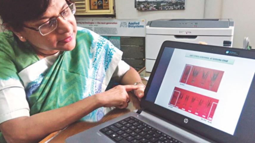 Professor Zeba Islam Seraj.jpg