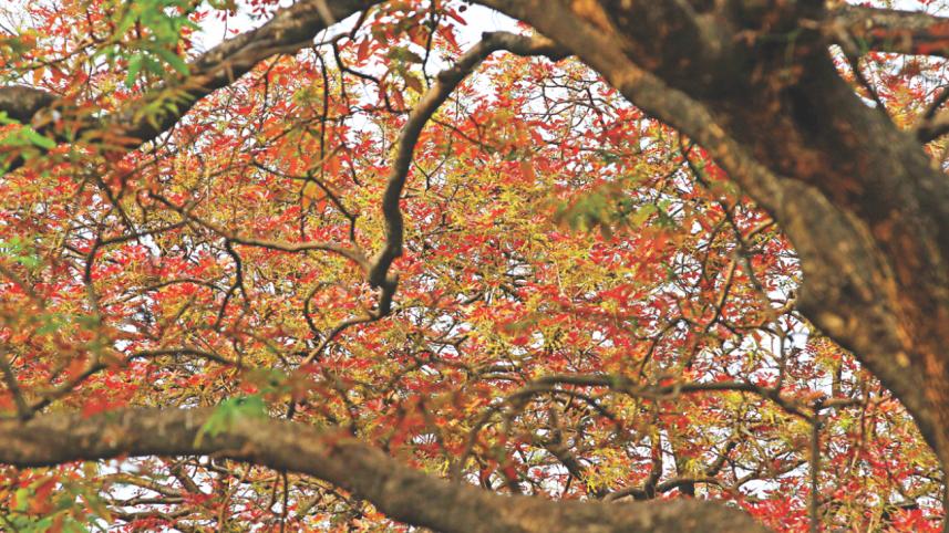 Season Of Change  4.jpg