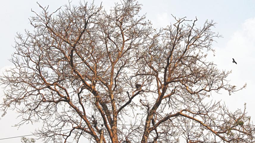 Season Of Change  7.jpg