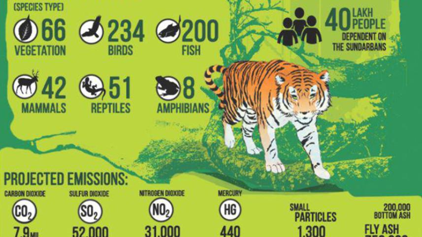sundarban-threat_02.jpg
